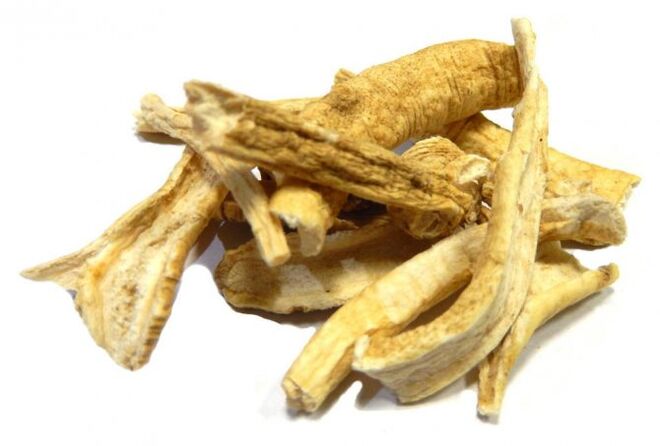 Ginger
